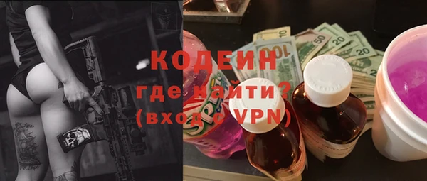 гашик Горняк