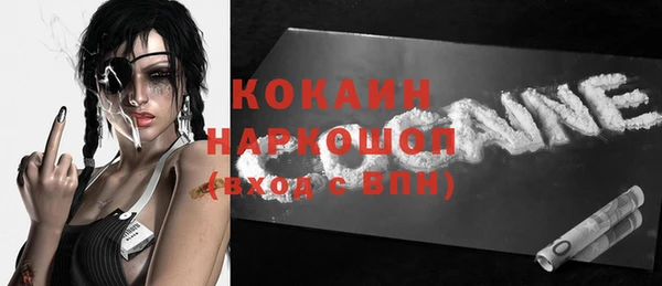 гашик Горняк