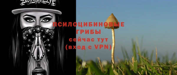 винт Горно-Алтайск