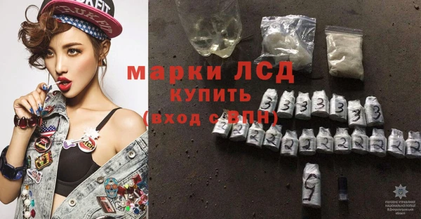 гашик Горняк