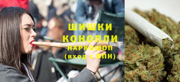 винт Горно-Алтайск