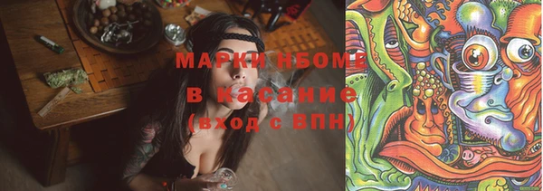 гашик Горняк
