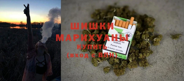 гашик Горняк