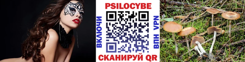 Псилоцибиновые грибы GOLDEN TEACHER  Купить где  Сенгилей 