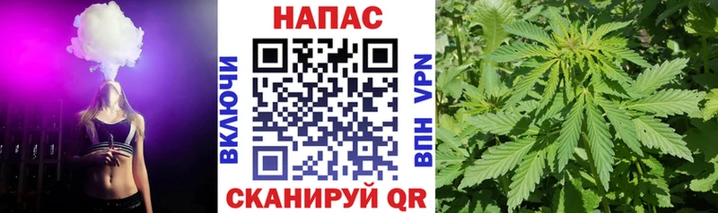 Купить где  Сенгилей  Шишки марихуана Amnesia 